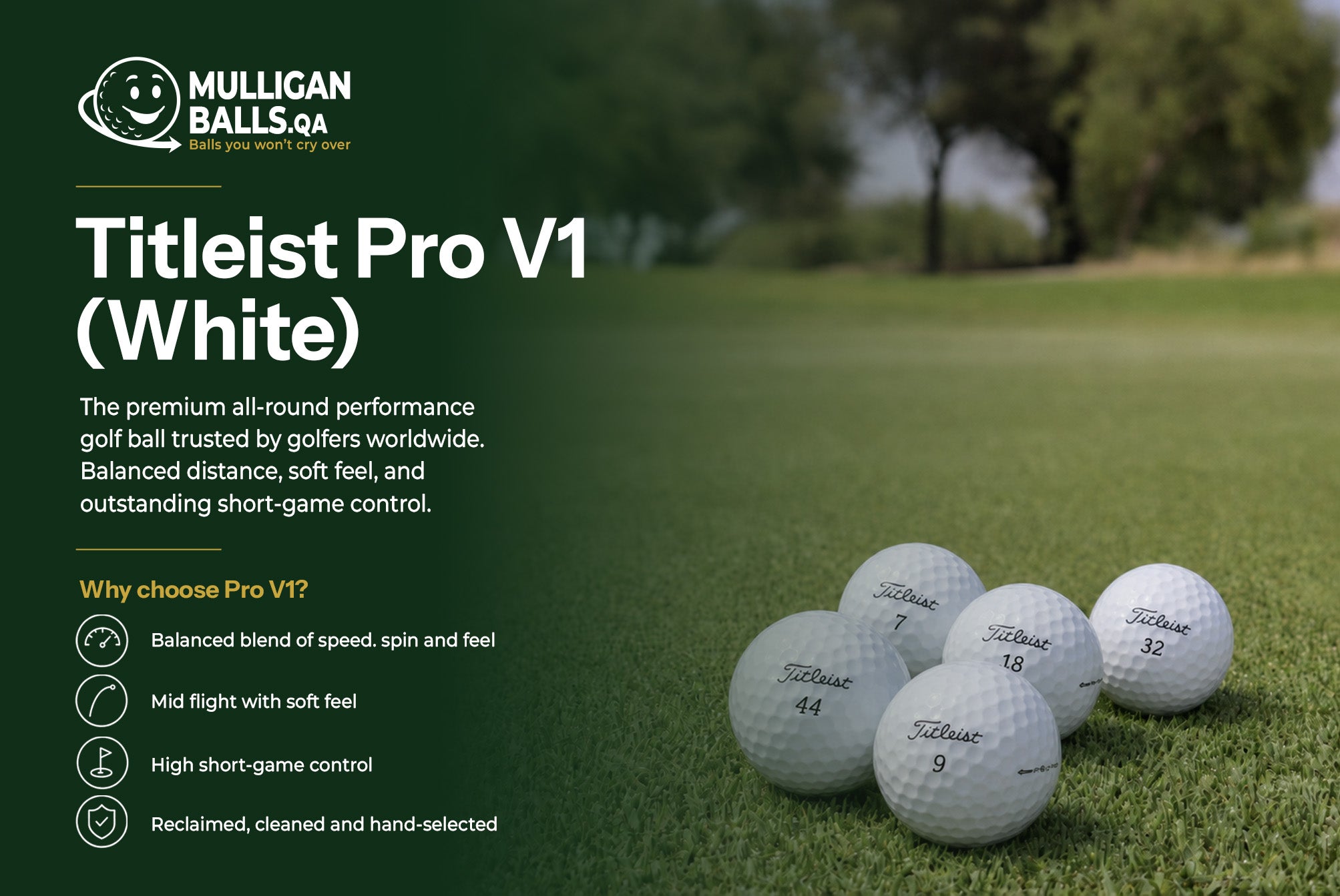 Reclaimed Titleist Pro V1 (White)