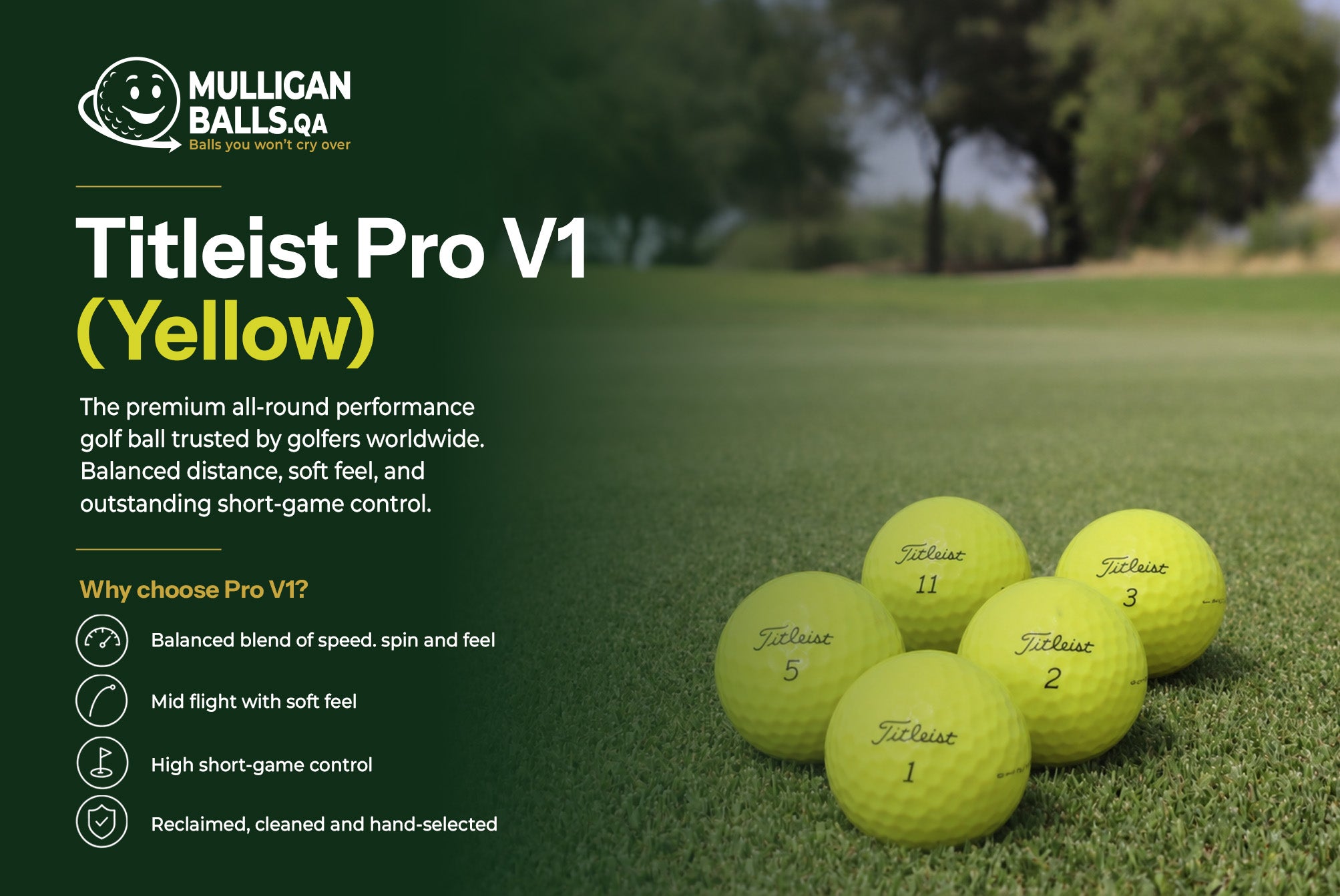 Reclaimed Titleist Pro V1 (Yellow)