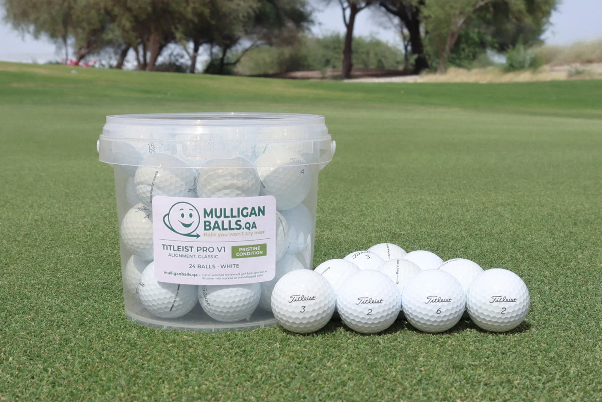 Reclaimed Titleist Pro V1 (White)