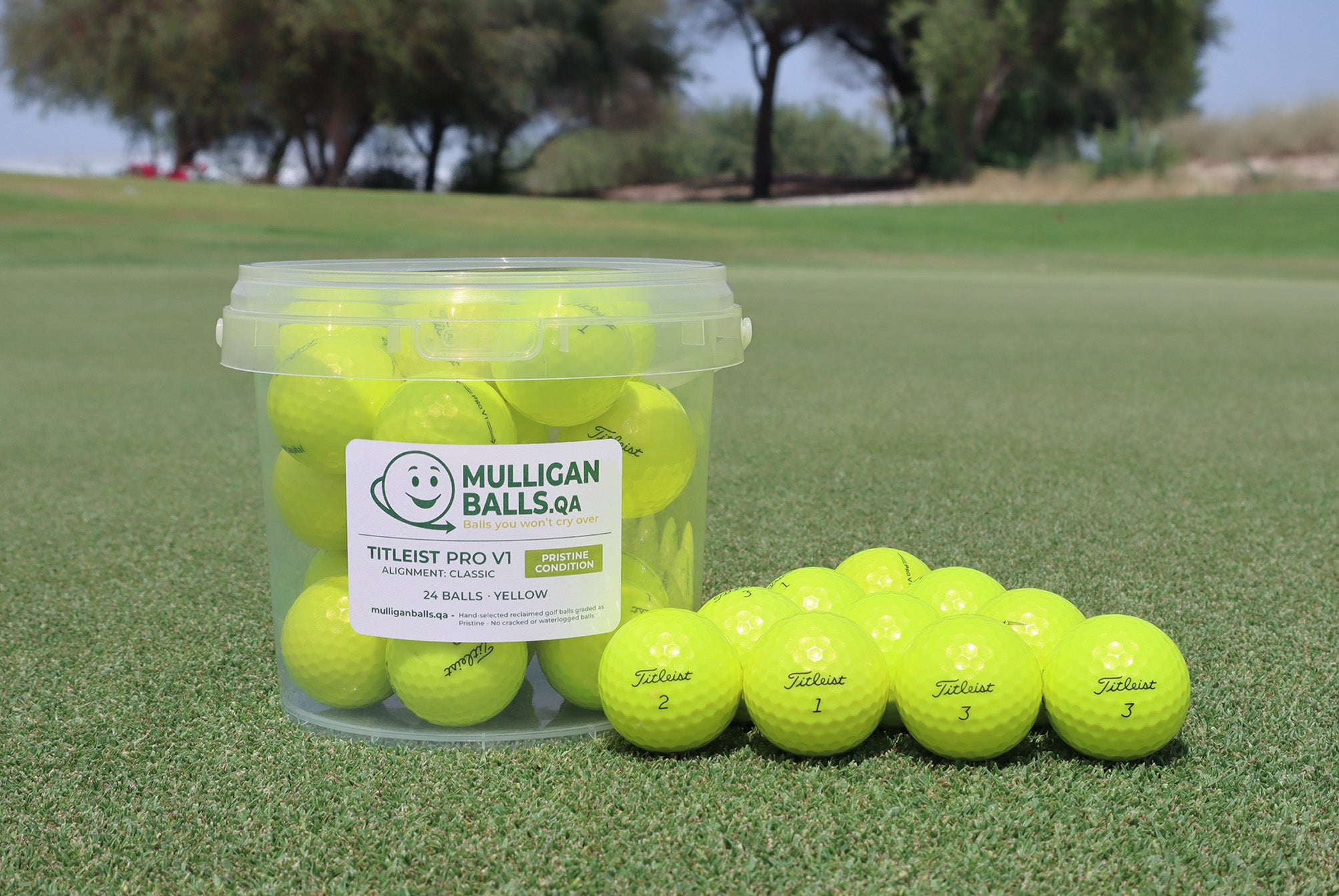 Reclaimed Titleist Pro V1 (Yellow)