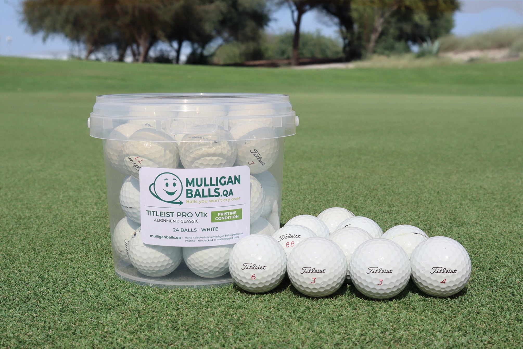 Reclaimed Titleist Pro V1x (White)