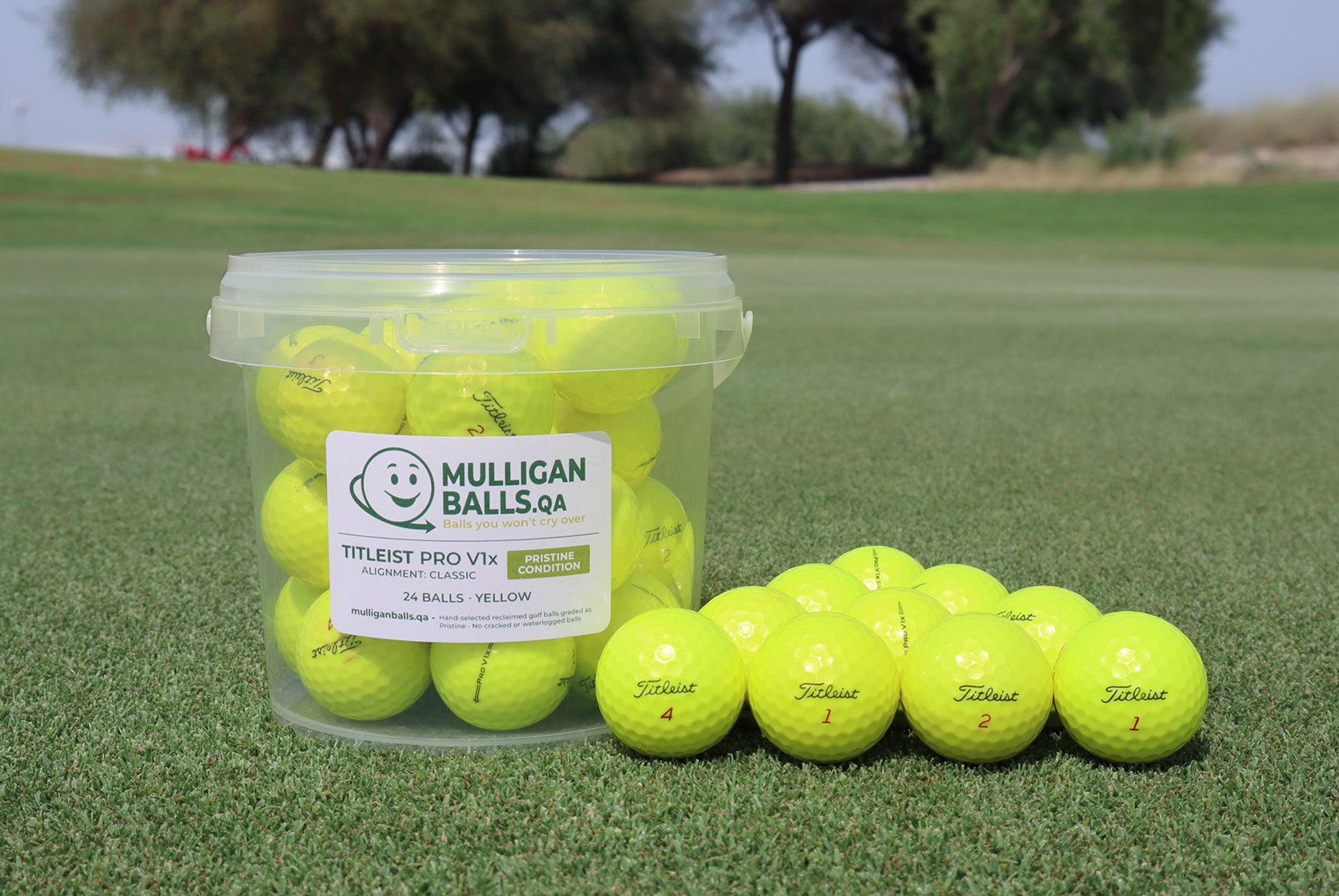 Reclaimed Titleist Pro V1x (Yellow)